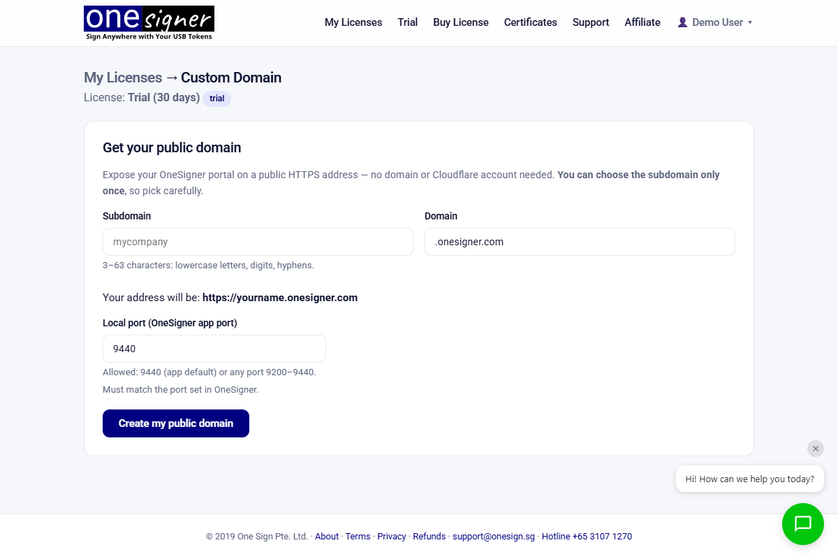 Portal Custom Domain page — Get your public domain form with subdomain, domain and local port fields